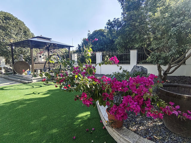 OMG心跳樂園旁:靜庭夢居慢旅日記 OMG心跳樂園旁:靜庭夢居慢旅日記