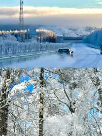 為了這圖,專門飛了一趟呼倫貝爾!冬日寶藏攻略速存