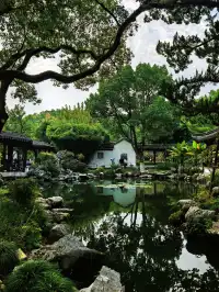 午後陽光下的天一閣真的很好拍！