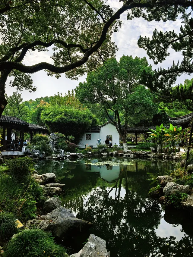 午後陽光下的天一閣真的很好拍！