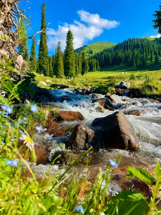新疆伊犁隱藏的「神仙莊園」！住進油畫裡