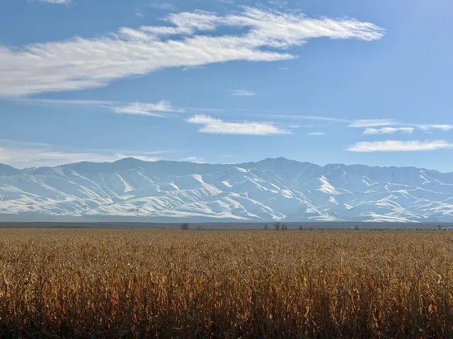 18張圖記錄我的賽里木湖庫爾德寧冰雪之旅 18張圖記錄我的賽里木湖庫爾德寧冰雪之旅