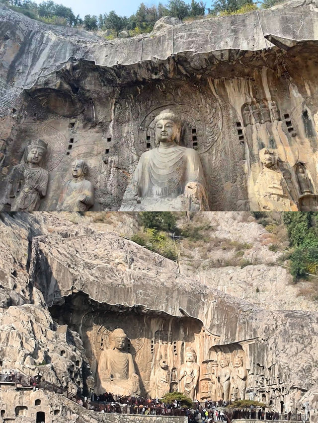 河南古都5日遊帶娃出行必看