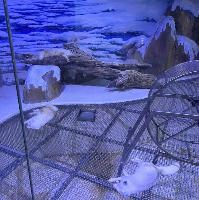 泉州歐樂堡歡樂全攻略 泉州歐樂堡歡樂全攻略