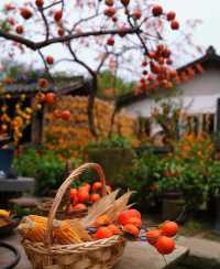 鴻達酒店的床,算是把我“拴”住了!