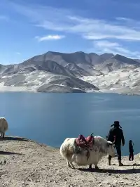 塔縣回喀什偶遇白沙湖封神路段,缺場雪!
