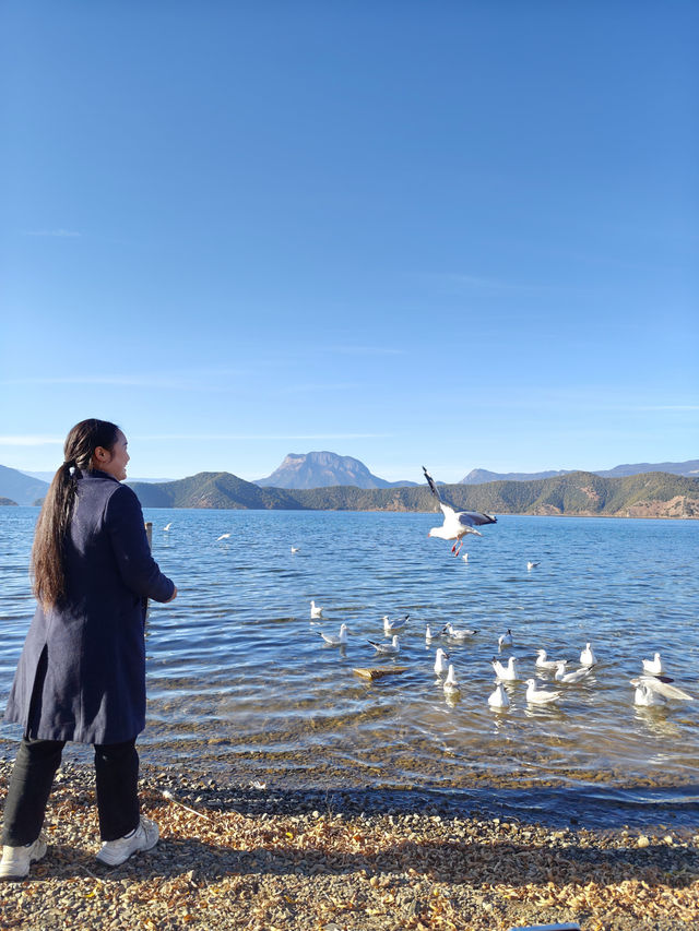 住進觀山海•湖畔，私藏瀘沽湖的山水畫卷