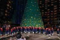 聖誕樹下的浪漫許願夜