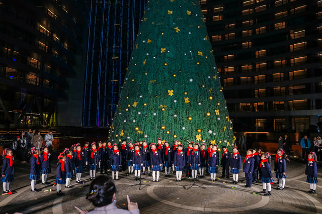 聖誕樹下的浪漫許願夜 聖誕樹下的浪漫許願夜