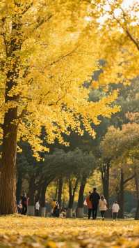 這裡的風景如詩如畫!