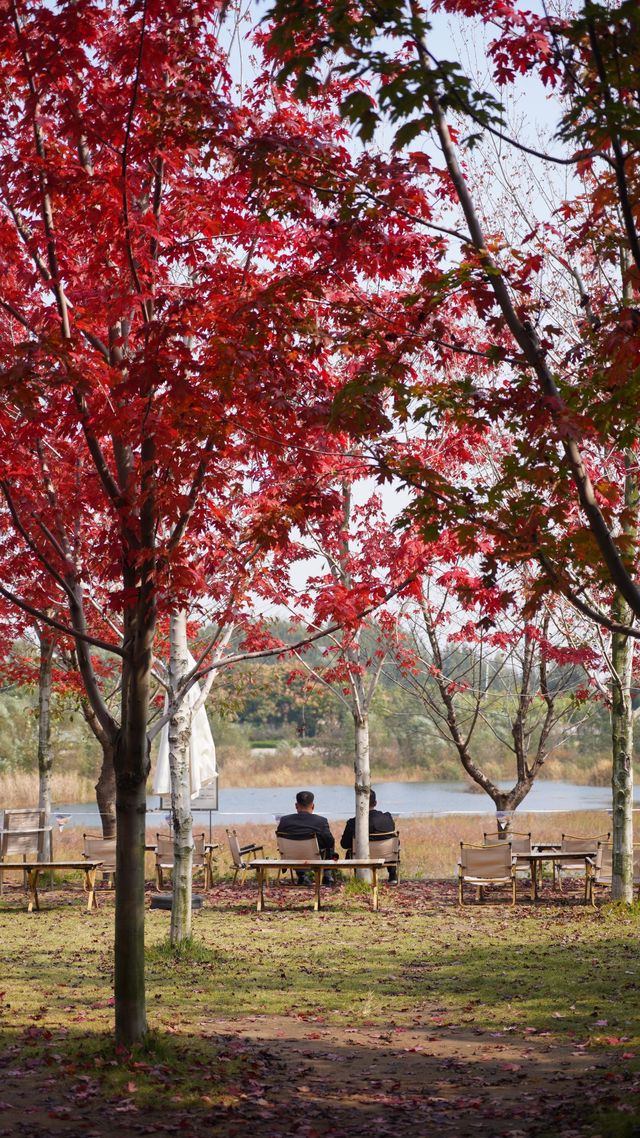 山東日照白鷺灣小鎮|闖入山東的“小阿勒泰”! 山東日照白鷺灣小鎮|闖入山東的“小阿勒泰”!