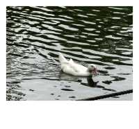 沉醉在蜈支洲島的藍色浪漫裡