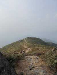 上海周邊賞秋天花板覆卮山徒步攻略｜石浪梯田美到窒息！