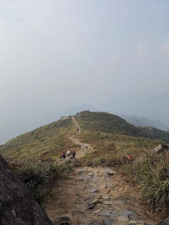 上海周邊賞秋天花板覆卮山徒步攻略｜石浪梯田美到窒息！