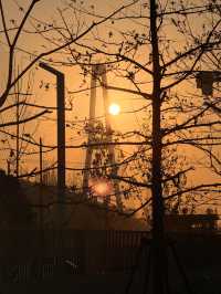 上海賞秋寶藏地三林紅杉林氛圍感拉滿！