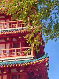 秋天的虞山公園真的太美了！