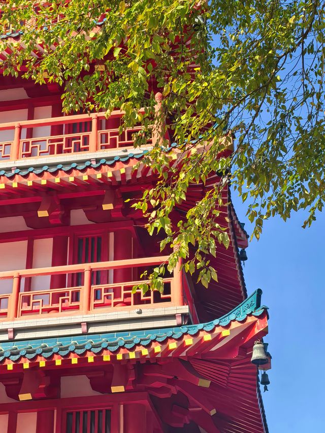 秋天的虞山公園真的太美了！