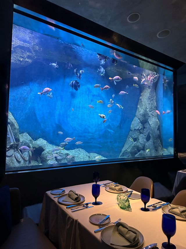 上海深坑奢華酒店測評來啦! 上海深坑奢華酒店測評來啦!