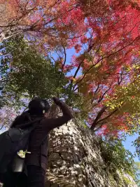 莫干山的正確打開方式