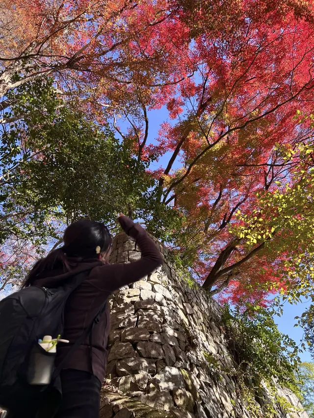 莫干山的正確打開方式 莫干山的正確打開方式