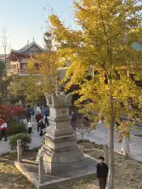 美得不像在莆田!朋友圈都在問的超絕秋景