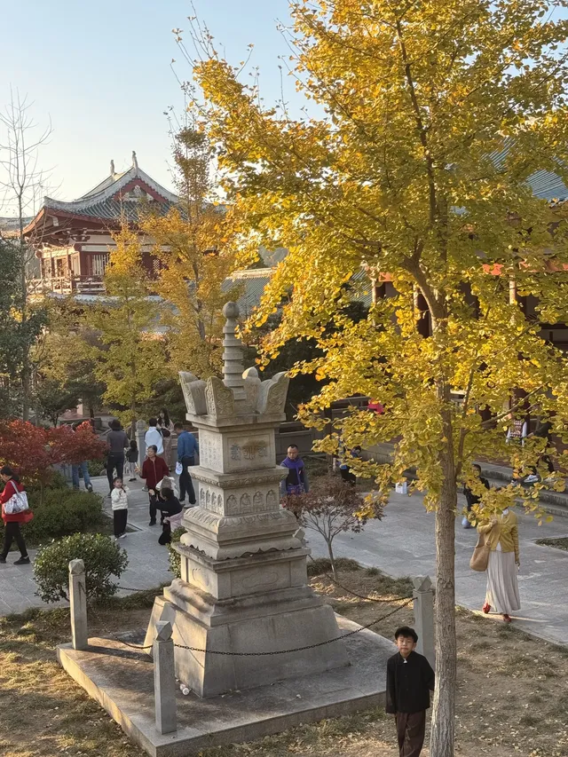 美得不像在莆田!朋友圈都在問的超絕秋景 美得不像在莆田!朋友圈都在問的超絕秋景