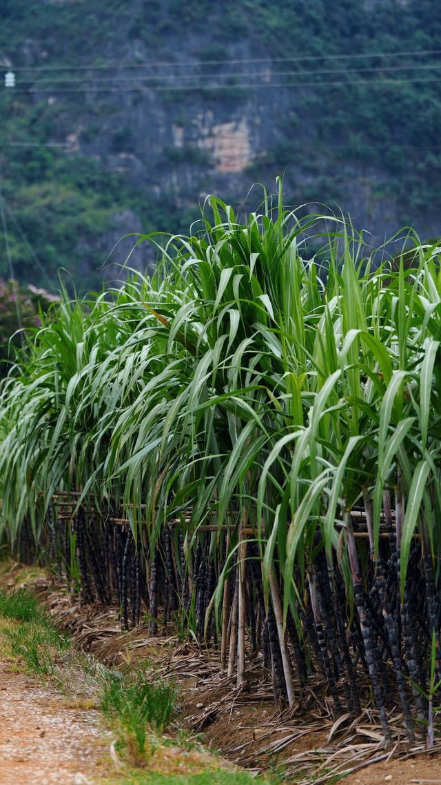 地理優等生丨為什麼它永遠是攻略地圖上最亮的點 地理優等生丨為什麼它永遠是攻略地圖上最亮的點