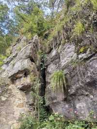 竹林寺∽廬山“空中佛國”！