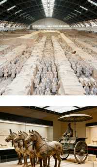 打卡孫楊到訪秦俑坑 一俑一姿皆是千年傳奇