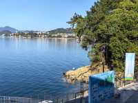 千島湖不登島不進景區直接酒店躺平…