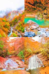 央視力推的秋日頂流成都周邊「中國紅葉第一山」