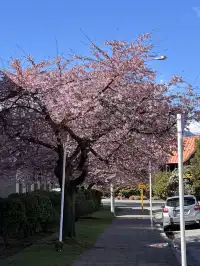 新西蘭·自然探索之旅