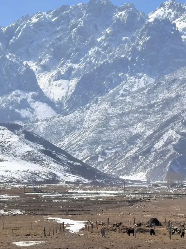 蘭州出發冰雪世界天祝祁連山馬牙雪山