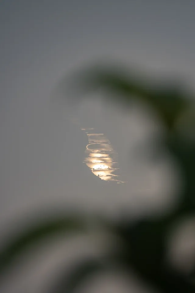 你問我什麼是自由?是七月底的武功山 你問我什麼是自由?是七月底的武功山