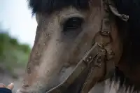 你問我什麼是自由?是七月底的武功山