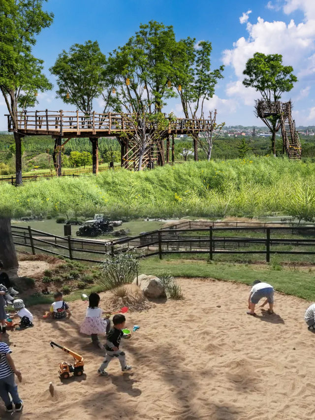 西安|周邊度假必去！住農場酒店、看落日夜景，露營超快樂