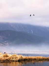 瀘沽湖冬日限定！闖入晨霧裡的遺失仙境