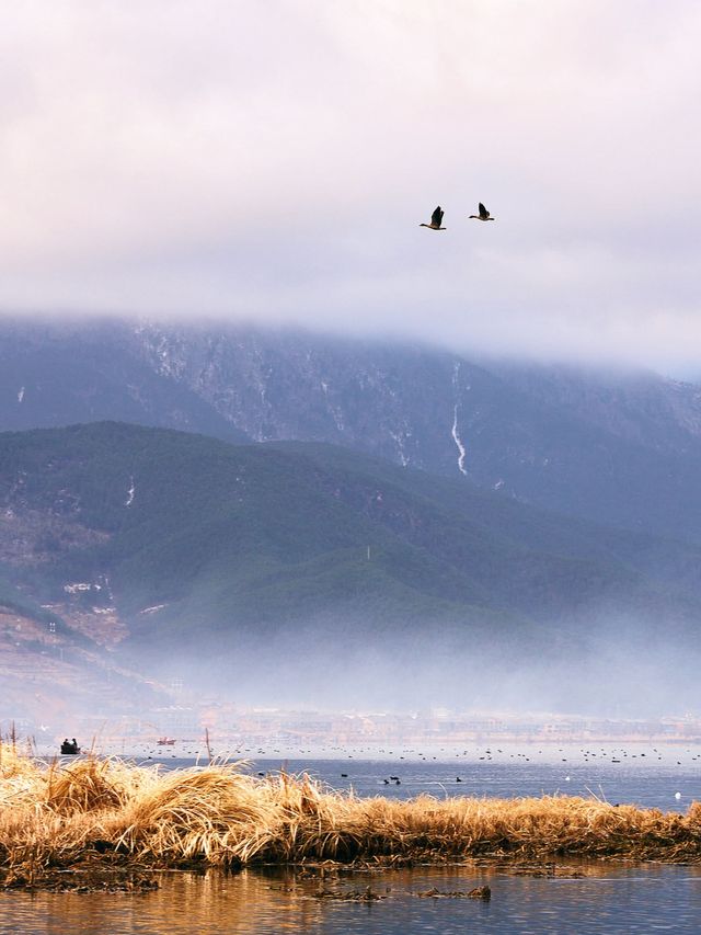 瀘沽湖冬日限定！闖入晨霧裡的遺失仙境
