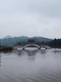 廣佛自駕遊,七星岩落羽杉