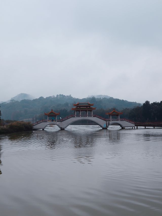 廣佛自駕遊,七星岩落羽杉 廣佛自駕遊,七星岩落羽杉