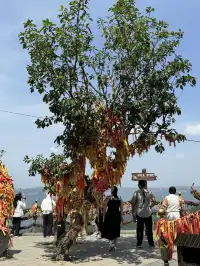 秋日雲台山兄弟局攻略 紅葉+鬆弛感雙拿捏