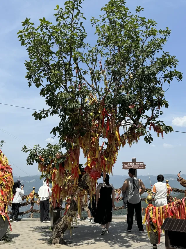 秋日雲台山兄弟局攻略 紅葉+鬆弛感雙拿捏 秋日雲台山兄弟局攻略 紅葉+鬆弛感雙拿捏