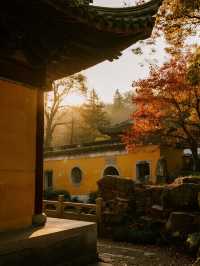 南京棲霞山親子賞秋|古剎紅葉+輕鬆遛娃攻略