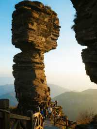 梵淨山親子保姆級攻略！帶娃登頂天空之城，避坑99%