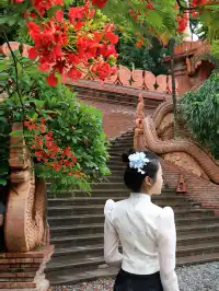 N刷已回！曼聽公園攻略+機位一次說清楚！