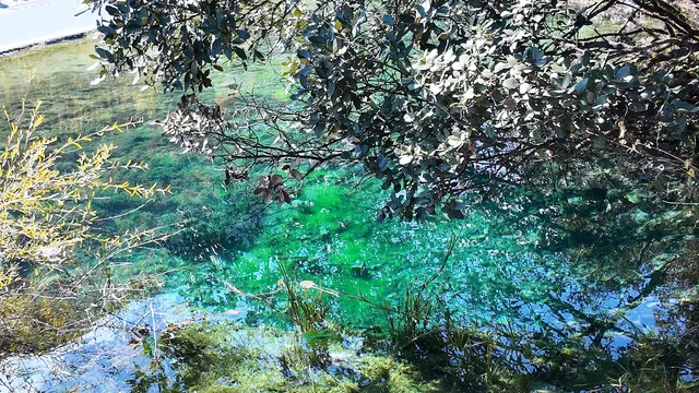 大理-麗江-香格里拉旅遊記錄 大理-麗江-香格里拉旅遊記錄