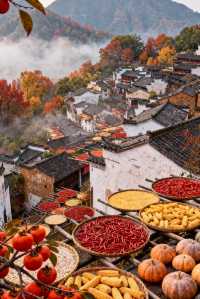 【篁嶺賞秋正當時】抓住最後一抹絢爛，邂逅限定版秋日畫卷