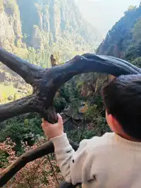 每週一山百丈漈帶娃闖進瀑布的武俠世界