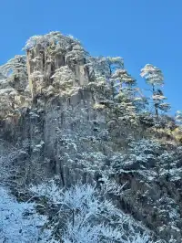 12月及1月來郴州莽山的！存下吧超全的！
