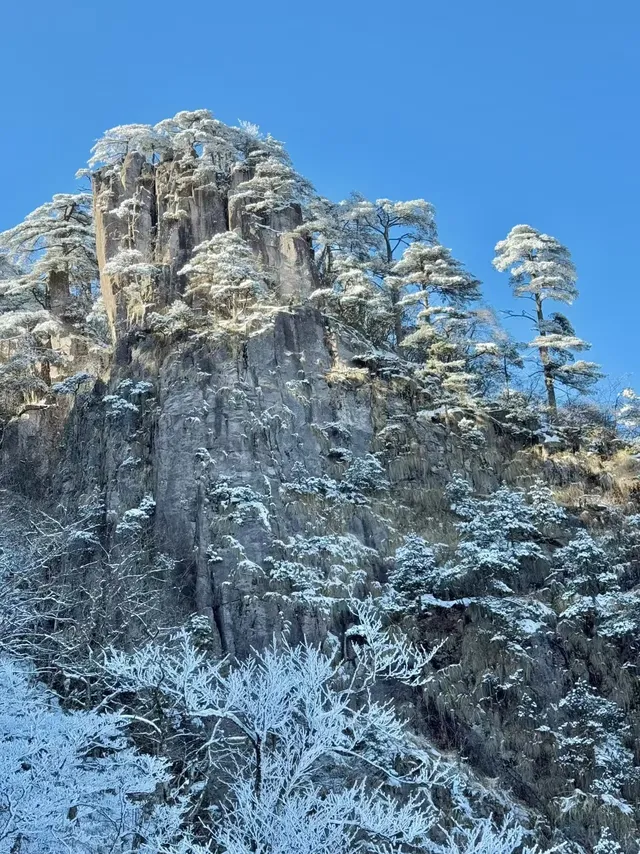 12月及1月來郴州莽山的！存下吧超全的！